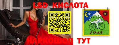прущие грибы Ярцево