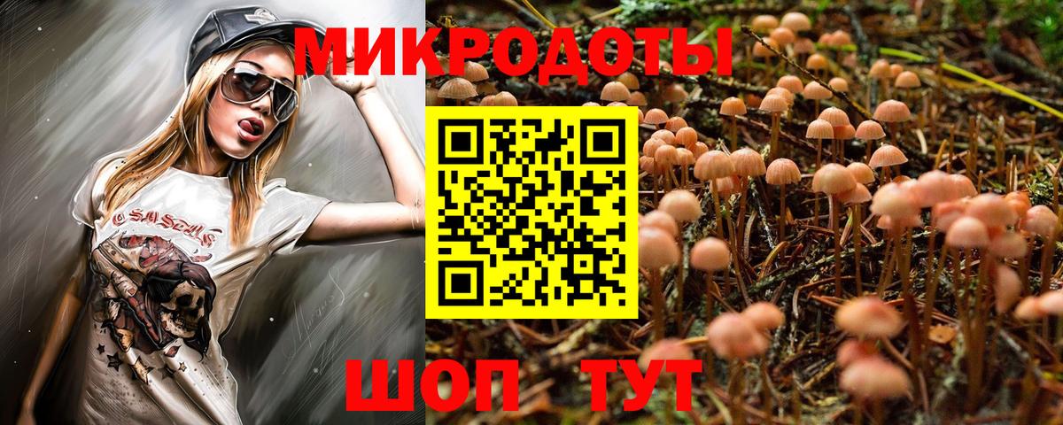 Псилоцибиновые грибы Cubensis Богородск