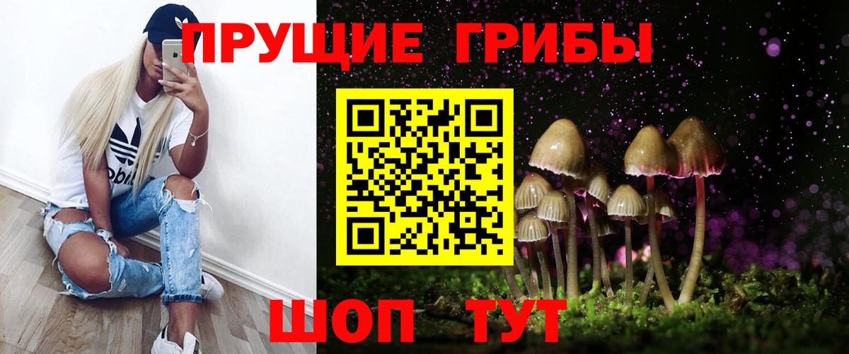 Галлюциногенные грибы MAGIC MUSHROOMS  Вход с VPN  продажа наркотиков  Богородск 